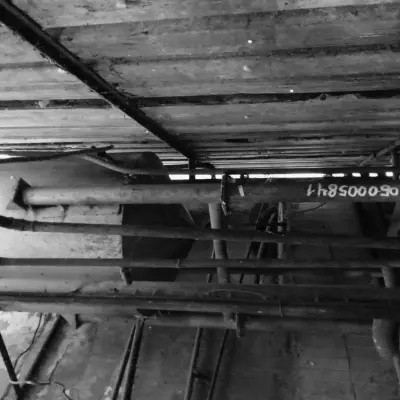 Оборудование для мясной промышленности (убойный цех)