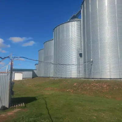 Имущественный комплекс по производству комбикорма (полный цикл), РТ, Сабинский район, д. Мешабаш