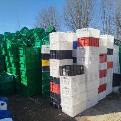 Лом пластиковый (канистры, ящики, поддоны и др.) г. Глазов