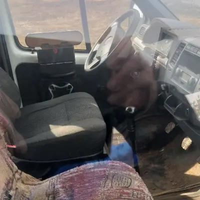 Автомобиль пассажирский Газ-32217 г/н С454ХО18, 2012 г.в. (8 мест)