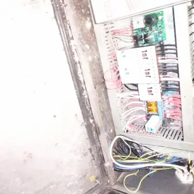 ЛИНИЯ №1 ДЛЯ ПРОИЗВОДСТВА ПЕЛЬМЕНЕЙ МОДЕЛЬ D250N