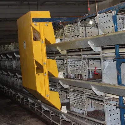 Лом черных металлов ООО «Удмуртская птицефабрика» (с демонтажем)