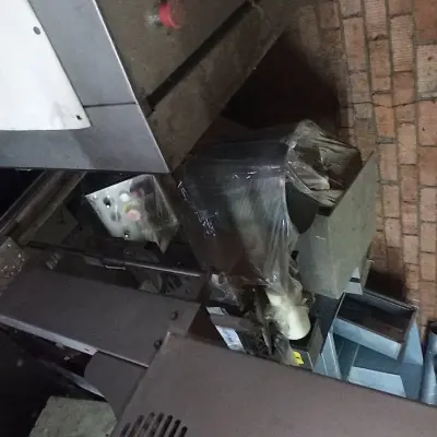 ЛИНИЯ №1 ДЛЯ ПРОИЗВОДСТВА ПЕЛЬМЕНЕЙ МОДЕЛЬ D250N