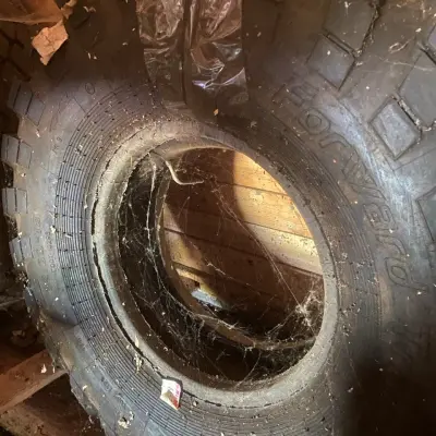 Автомобильные шины (с хранения)