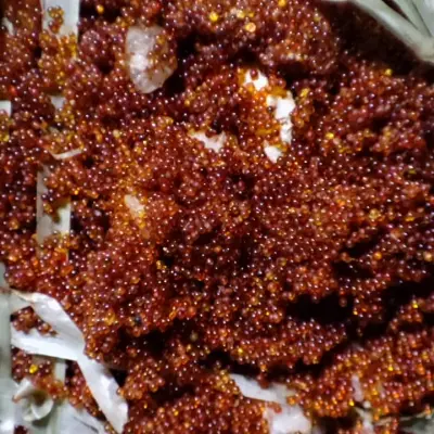 Смола ионообменная б/у (катионит)  ALFASOFT (TOKEM-153)