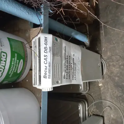 Весы напольные CAS DB-60H