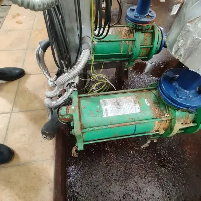 Оборудование (компрессоры, ресиверы, насосы, испарители и т.д.)