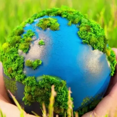 Отходы животноводства с птицефабрики Вараксино