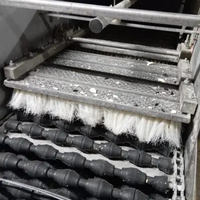 Яйцемоечная установка ЯМУ-Ф-10А