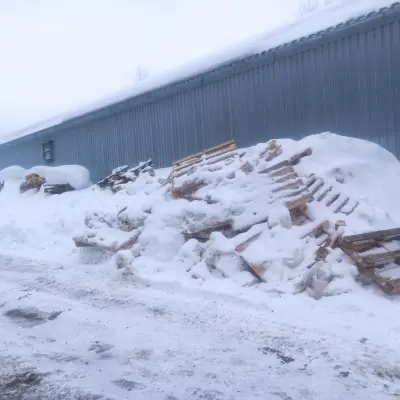 Деревянные поддоны б/у (г. Глазов)