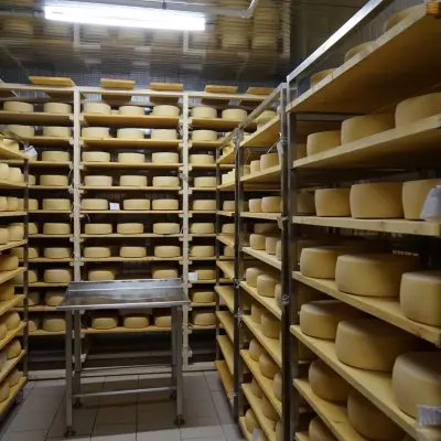 Сыроварня (действующий бизнес), Удмуртская республика, Каракулинский район