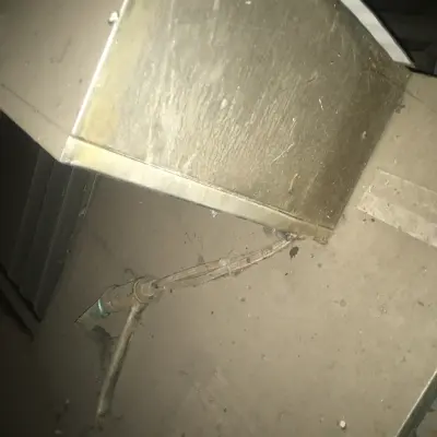 Комплектующие части для линии убоя свиней фирмы ЕМФ, 2006 г.в.