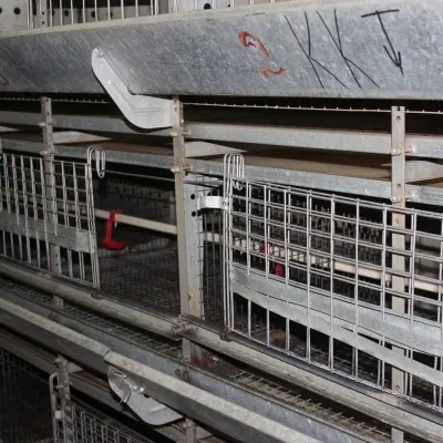 Лом черных металлов ООО «Удмуртская птицефабрика» (с демонтажем)