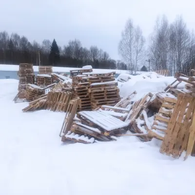 Деревянные поддоны б/у (г. Глазов)