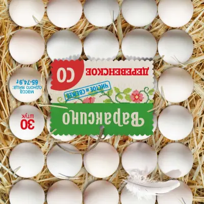 Этикетки (вкладыши) цветные