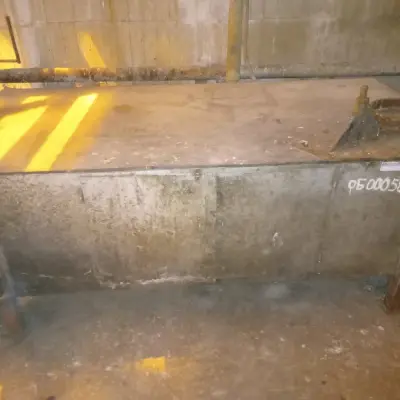 Оборудование для мясной промышленности (убойный цех)