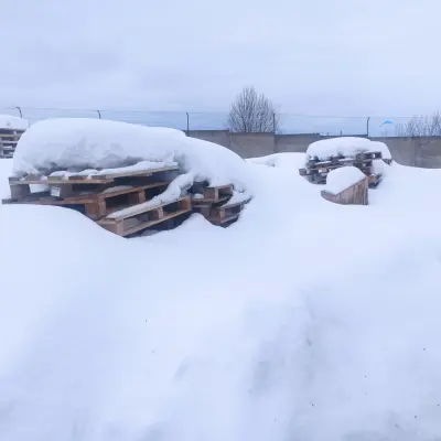 Деревянные поддоны б/у (г. Глазов)