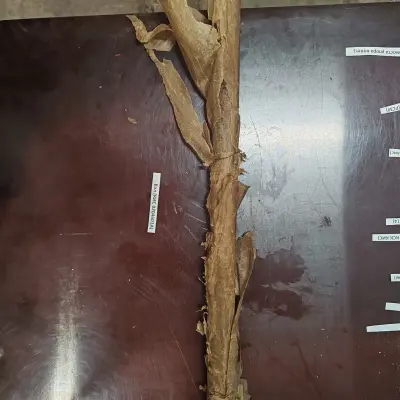 Запасные части на зерноуборочные комбайны ДОН 680 и КСК-100