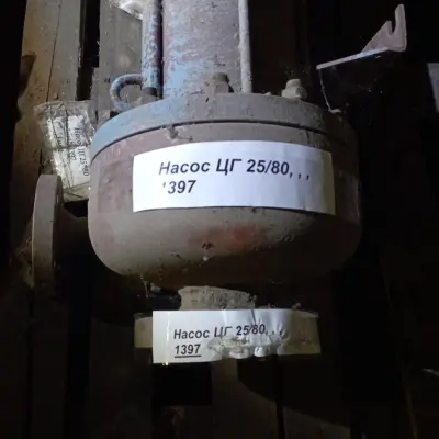 Насосы (лотом)