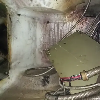 Линия для изготовления консервной банки (в т.ч. ПРЕСС КЕ2130Б В КОМПЛЕКТЕ С ПНЕВМОПОДУШКОЙ У402А)