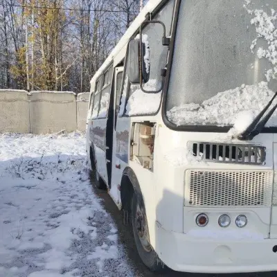 Автобусы ПАЗ