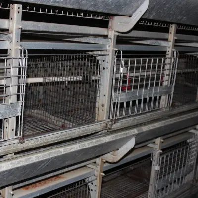 Лом черных металлов ООО «Удмуртская птицефабрика» (с демонтажем)