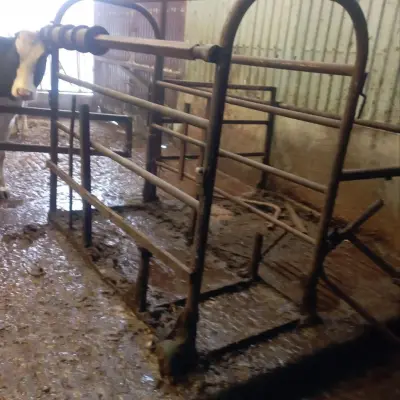 Продажа черного металлолома с ООО «Русская Нива» (4 базиса по Удм. Республике)