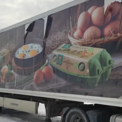 Прицеп рефрижератор KRONE SD г/н АК193518, 2012 г.в.