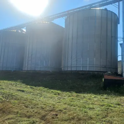 Имущественный комплекс по производству комбикорма (полный цикл), РТ, Сабинский район, д. Мешабаш