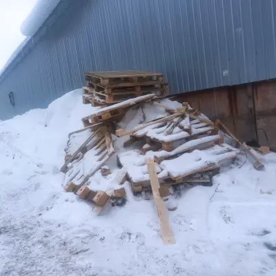 Деревянные поддоны б/у (г. Глазов)