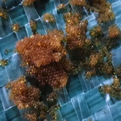 Смола ионообменная б/у (катионит)  ALFASOFT (TOKEM-153)