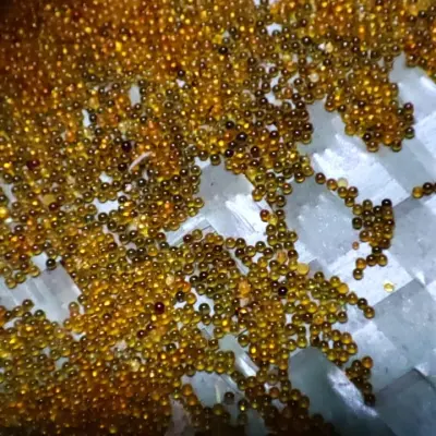 Смола ионообменная б/у (катионит)  ALFASOFT (TOKEM-153)