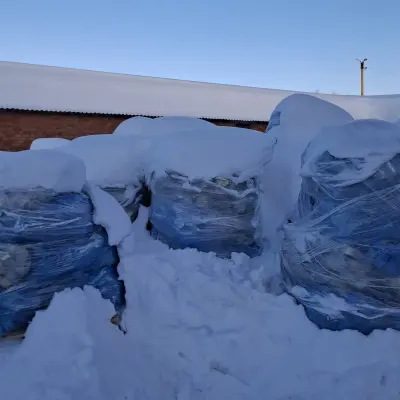 Лом жестяной банки (брак)