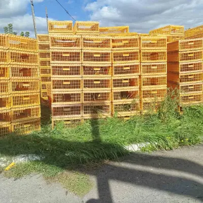 Отходы полиэтиленовой тары (лом пластиковых ящиков)