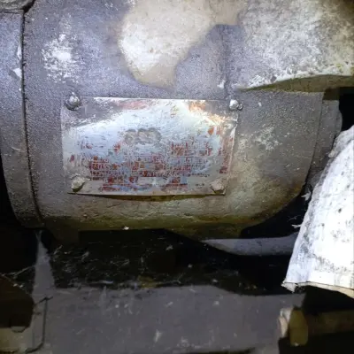 Насосы (лотом)