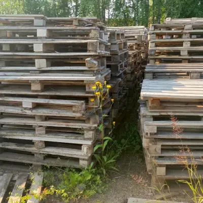 Деревянные поддоны б/у лом, разного размера (стандарт/нестандарт) в Пермском крае