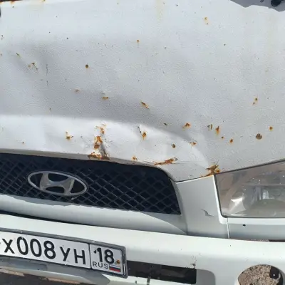 Грузовой автомобиль рефрижератор HYUNDAI HD78NO, г/н Х008УН18, 2010 г.в.