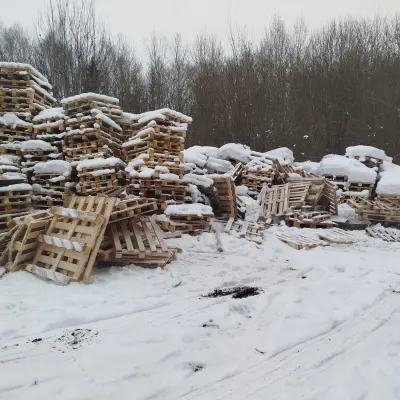 Деревянные поддоны б/у (г. Глазов)