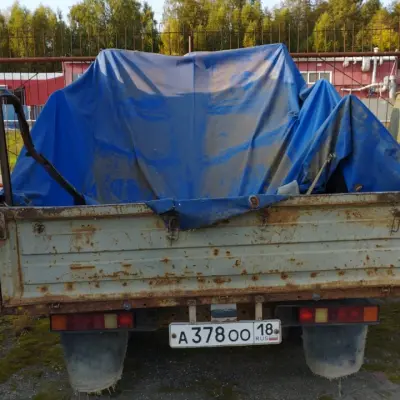 Автомобили лотом - Газель 3009А1 и Газель 330232