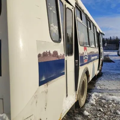 Автобусы ПАЗ