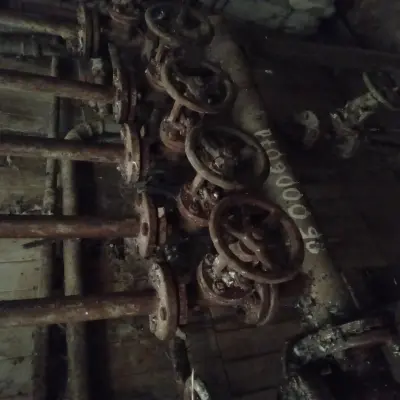 Оборудование для мясной промышленности (убойный цех)